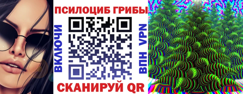 Галлюциногенные грибы мицелий  shop Telegram  Зима 