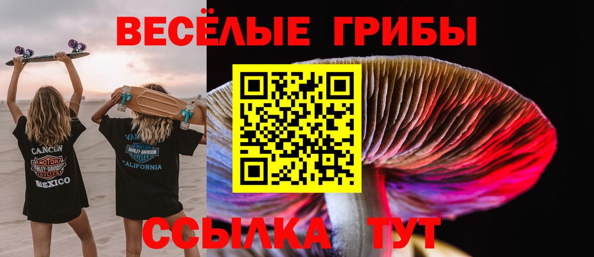 Галлюциногенные грибы Cubensis  Вход с VPN  Зима 
